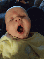 Baby yawn_gif.gif