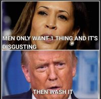 kamala-trump-wash-it.jpeg