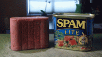 spam-spam-lite.gif