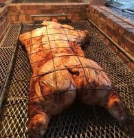 pig (2).jpg