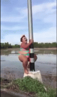 pole.gif