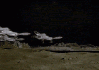 6C571079-C658-4F76-9E9B-4554B37452DD.gif