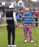 msm vs memes.jpg