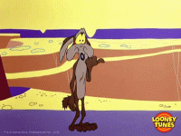 Wile E Coyote What GIF by Looney Tunes - Find & Share on GIPHY.gif