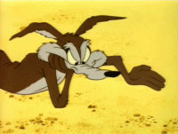 chaser on the rocks wile e coyote gif.gif