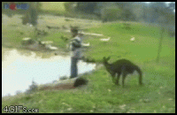 australia_65.gif