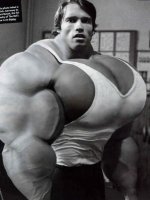 arnold_huge_chest_by_unitedbigmuscle_d4ioulk-fullview.jpg