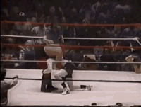 jerry-lawler-piledriver (1).gif