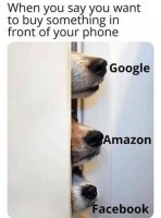 dogs-door-say-something-in-front-of-phone-google-amazon-facebook.jpg