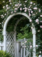 flower-garden-archways-1-414408010.jpg