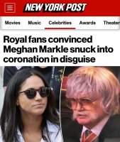 meghan markle disguise.jpg