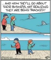 dolphins-tracked-go-about-business-people-phones.jpg