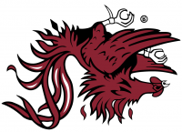 south_carolina_gamecocks_logo_secondary_2008_sportslogosnet-4498.png