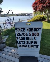 term limits 5000 page bills.jpg