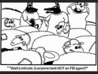 wolf-sheeps-clothing-anyone-here-not-fbi-agent.jpg