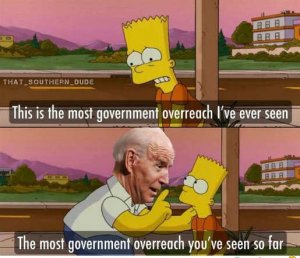 joe-biden-greatest-overreach-government-so-far-bart-homer-simpson.jpg