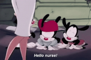 animaniacs-hello-nurse.gif