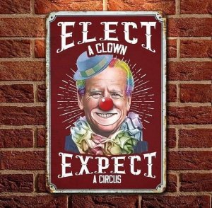 elect a clown get a circus.jpg