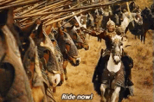 theoden-bernard-hill.gif