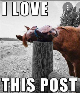 Horse loves POST.png