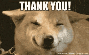 thank-you-thanks.gif