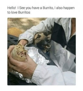 person-hello-see-have-burrito-also-happen-love-burritos-hilarious-ted.png