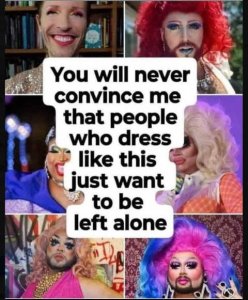 message-never-convince-me-people-dress-trans-like-this-want-to-be-left-alone.jpg