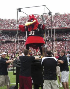 South Carolina mascot entry.jpg