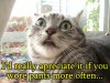 Funny-Pictures-of-Cats-With-Captions-the-cat-is-freaked-out.jpg