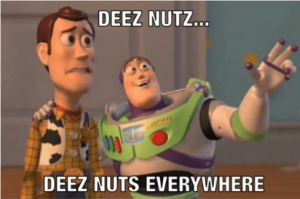 deez-nutz-deez-nuts-everywhere-funny-14732671.png