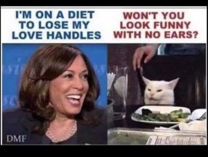 kamala-harris-diet-love-handles-smudge-no-ears.jpg