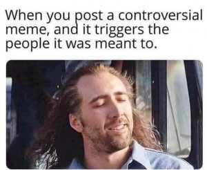 person-post-controversial-meme-and-triggers-people-meant.jpg