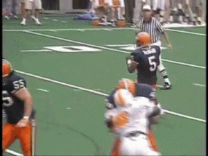 mcnabb_sack2 (1).gif