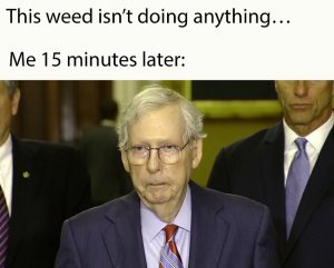 mitch finds weed.jpg