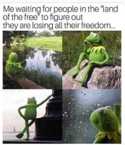 kermit-me-waiting-land-of-free-losing-freedom.jpg