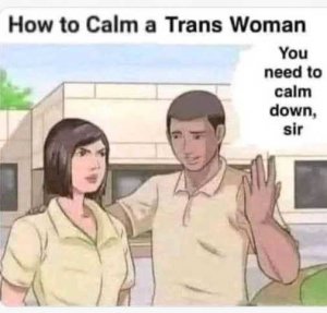 calm-trans-woman-calm-down-sir.jpg