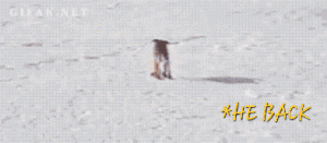 20230809_125700.gif