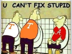 The best Tennessee memes heading into the 2015 season.jpeg