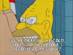 Simpsons_Missouri.gif