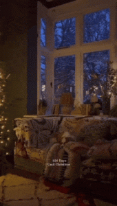 20230823_153148.gif