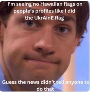 no-hawaiian-flags-profiles-news-didnt-tell.jpg