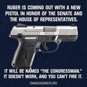 Ruger pistol_the Congressman.jpg