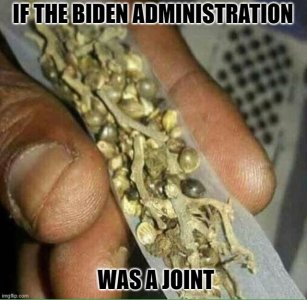 if the biden administation was a joint.jpg