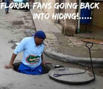 Gator fans back into hiding.jpg