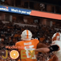 gobigorange-rocky-top-tennessee.gif