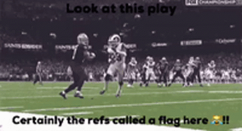 saints-saints-no-call.gif