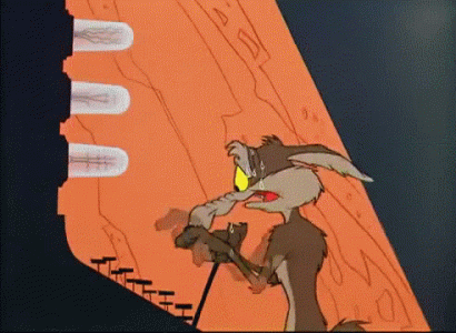 wile e coyote looney tunes gif.gif