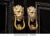 stock-photo-twin-set-of-brass-lion-head-door-knockers-london-england-uk-37760845.jpg