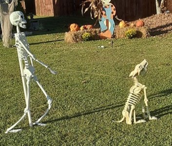 halloween skeleton and dog.jpg