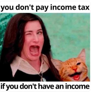 dont-pay-income-tax-if-no-income-wink.jpg